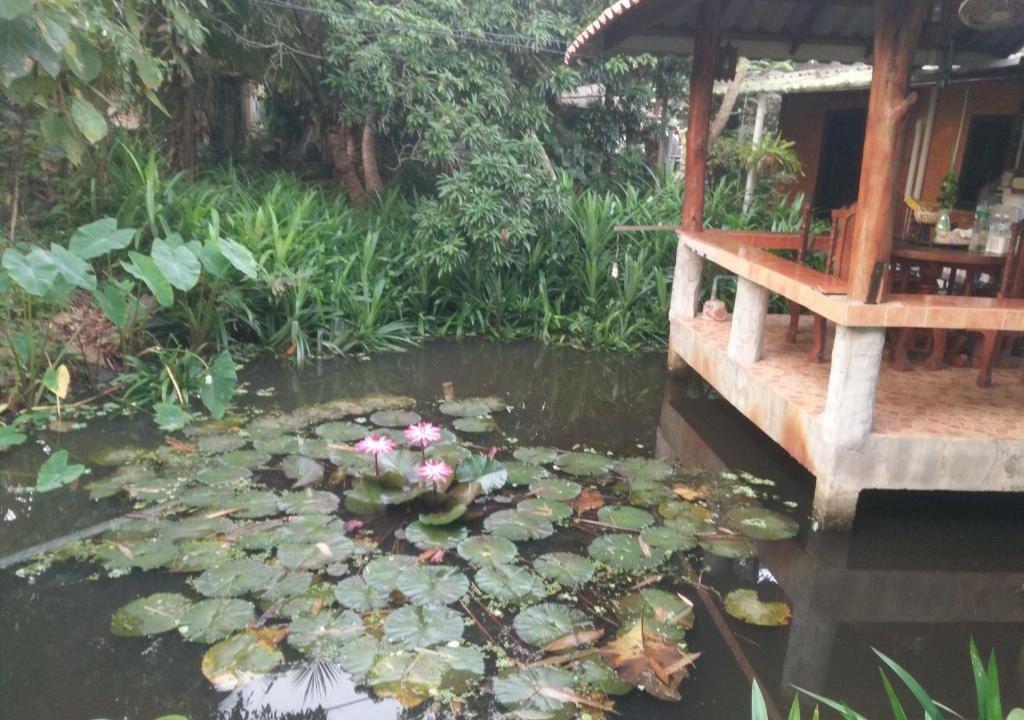 Mueang Nga House | ต้งโฮมหละปูน ณ ตูบคำ