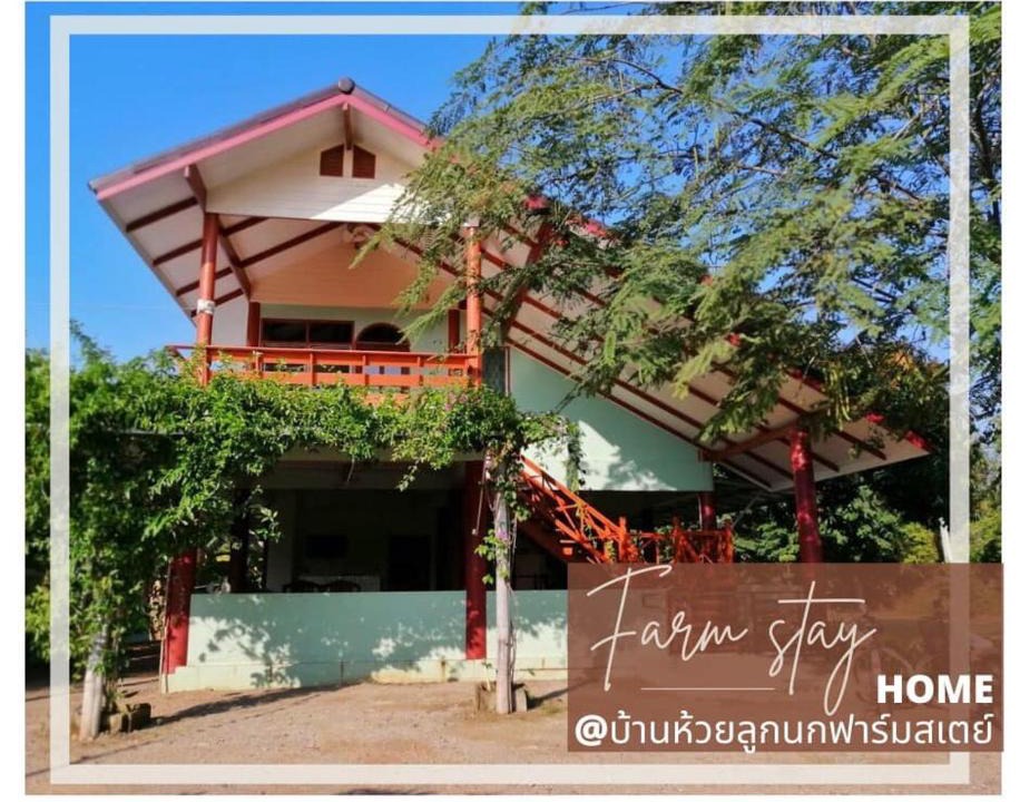 Ratchaburi House | บ้านห้วยลูกนกฟาร์มสเตย์ Banhuailuknok Farmstay