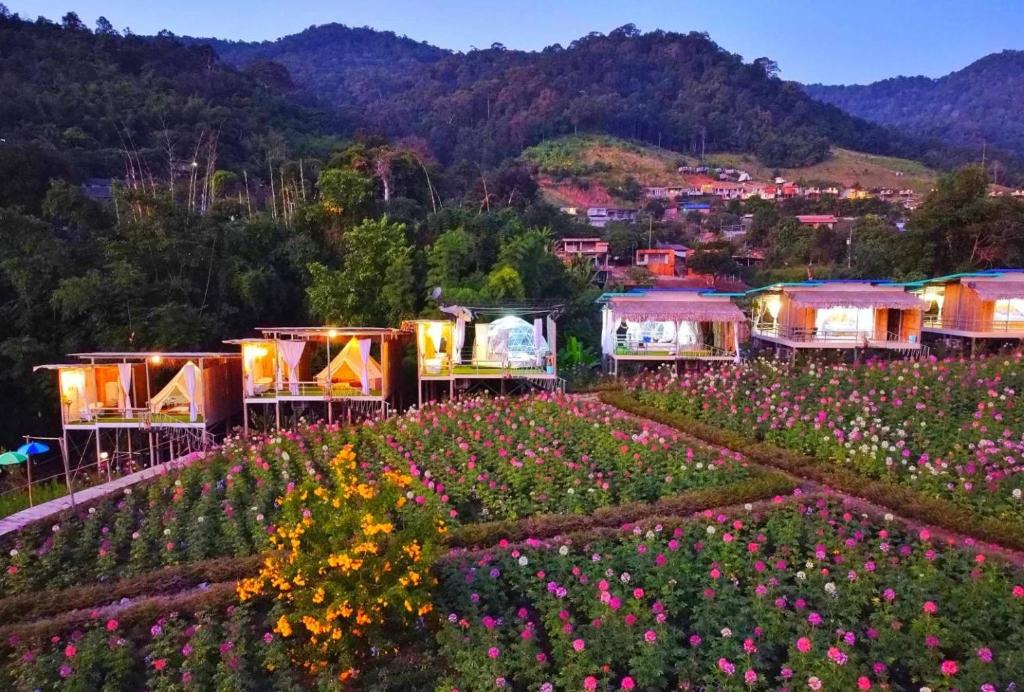 Mae Taeng Resort | อิงเหนือ โฮมสเตย์