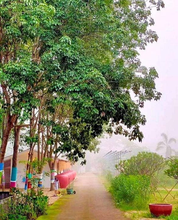 K. Phu Pieng Resort | ฮักฮิมเกี๋ยน รีสอร์ท น่าน Hug Him Kien