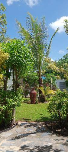 Pathio Hotel | 24 m² Hotel ∙ 2 guests