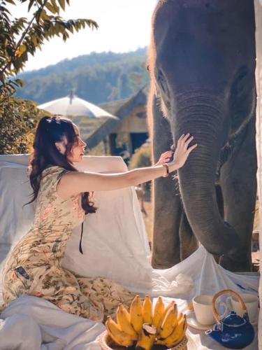 Mae Wang House | 3 Pok Maewang jinxiang Gold elephant park