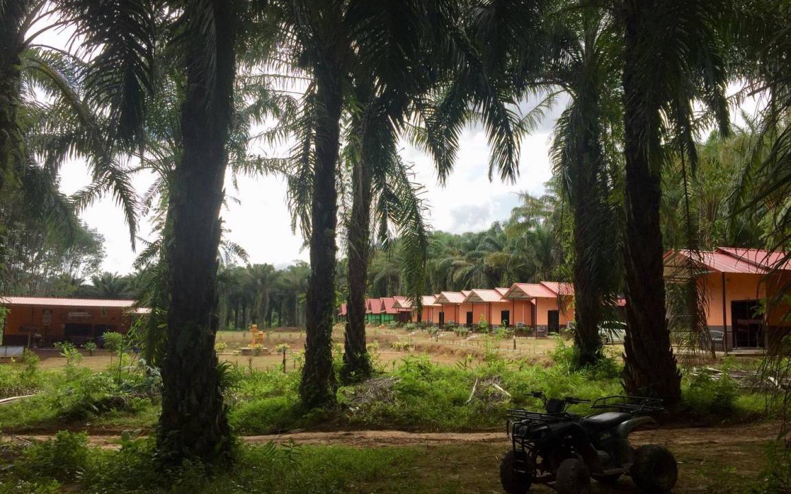 Khlong Sok Resort | 38 m² Resort ∙ 4 guests
