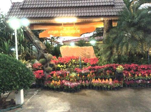 Phu Ruea Resort | 50 m² Resort ∙ 5 guests