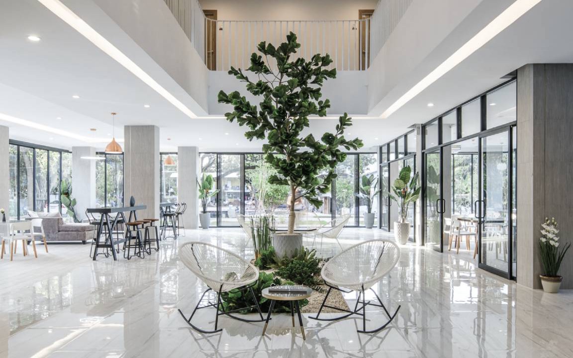 Chomphu Hotel | 55 m² Hotel ∙ 127 guests