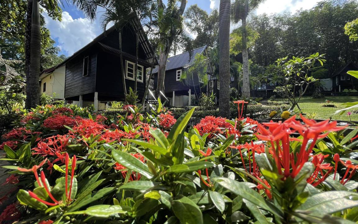 Bai Lan Resort | 57 m² Resort ∙ 4 guests