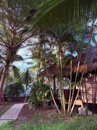 Hin Hong House | Authentic Thai Wooden House Coconut Lane
