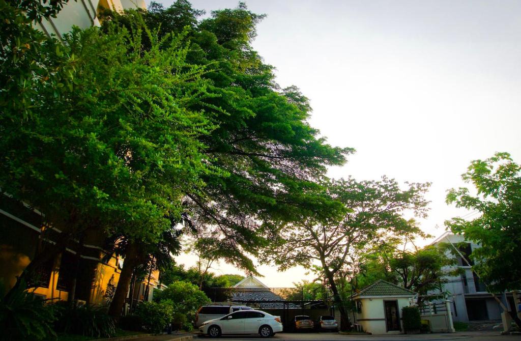 Rangsit Apartment | Baan Boonanan Apartment