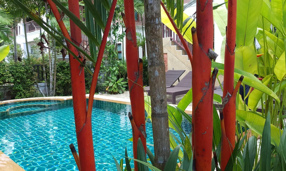Krabi House | Baan Narakorn Private pool-Aonang Krabi