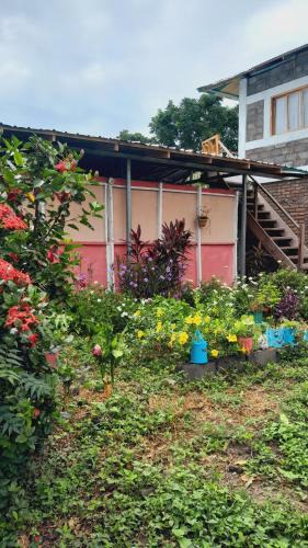 Altagracia House | Bananas Guest House Private Room