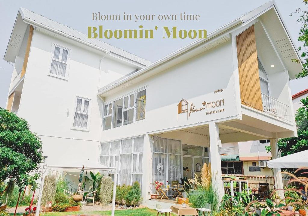 Old City Hostel | Bloomin' Moon hostel & cafe, Chiang Mai Old Town