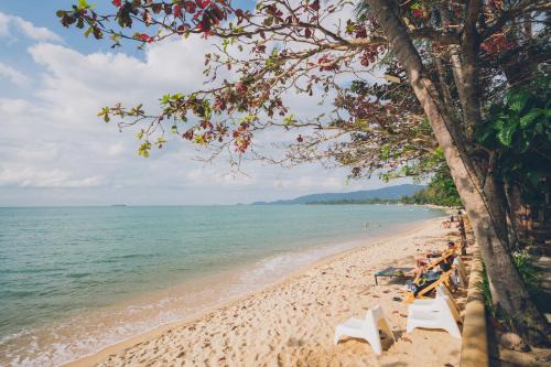 Lipa Noi Hostel | Chill Inn Lipa Noi Hostel and Beach Cafe