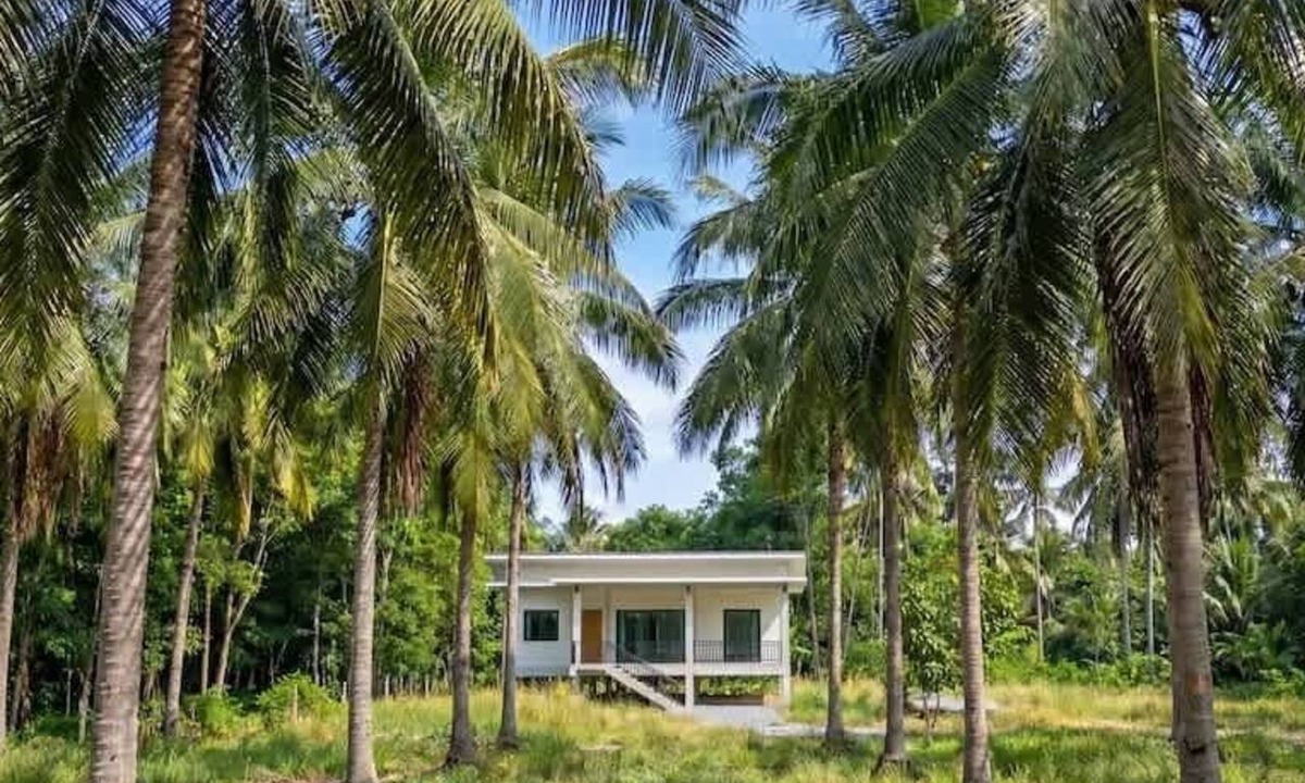 Srithanu House | Coconut Villa | 2 Private BR | Palm View | Top Loc