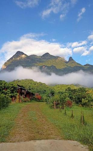 Chiang Dao House | Far Far Away Homestay Chiangdao