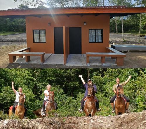 Krabi House | Farm Bungalow