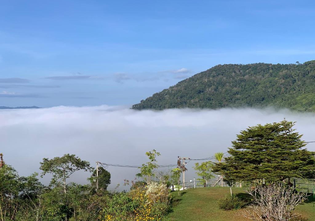 Khao Kho Bed & Breakfast | Feel The Fog