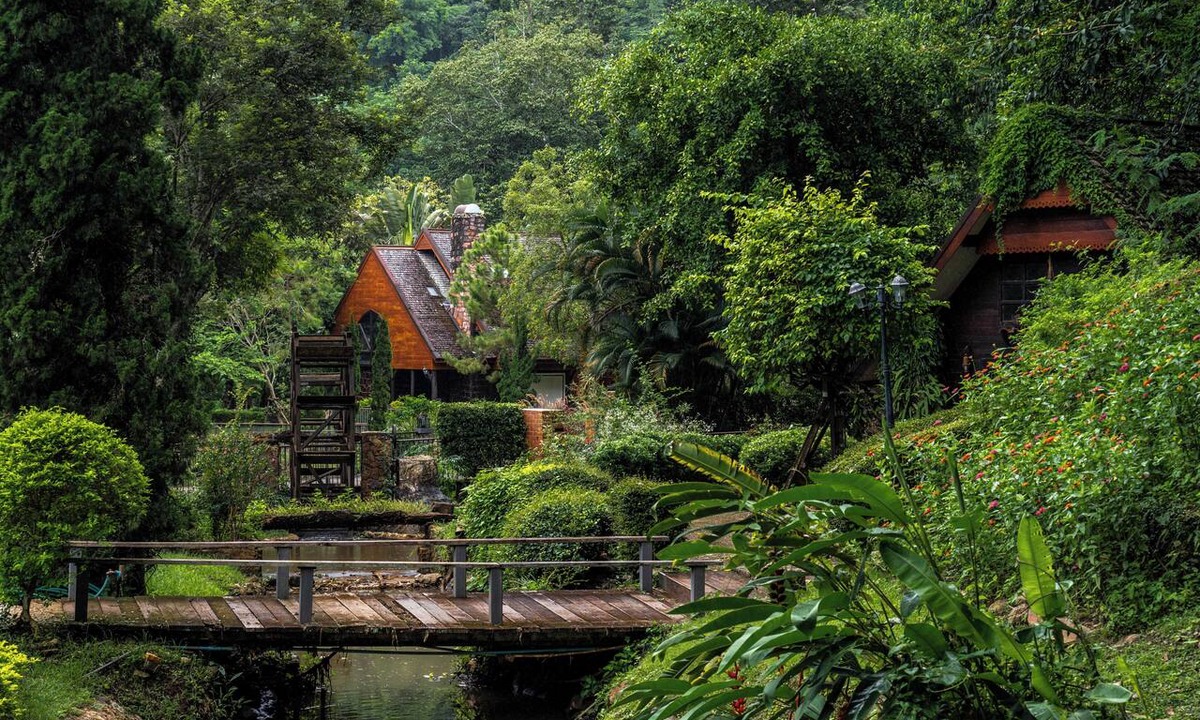 Su Thep Hotel | Flora Creek Resort & Garden Chiang Mai