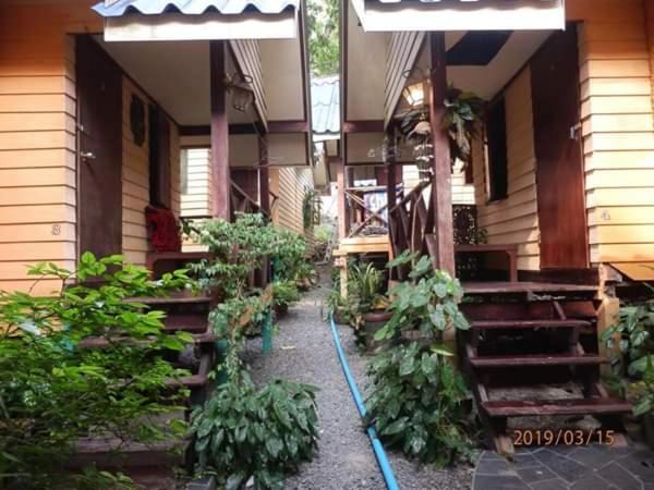 Bai Lan Ski Chalet | Green Sun
