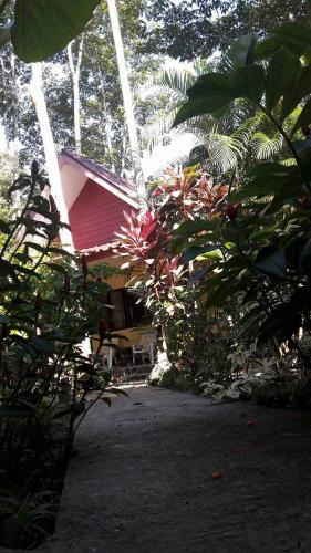 Khlong Sok House | Khao Sok Holiday Resort