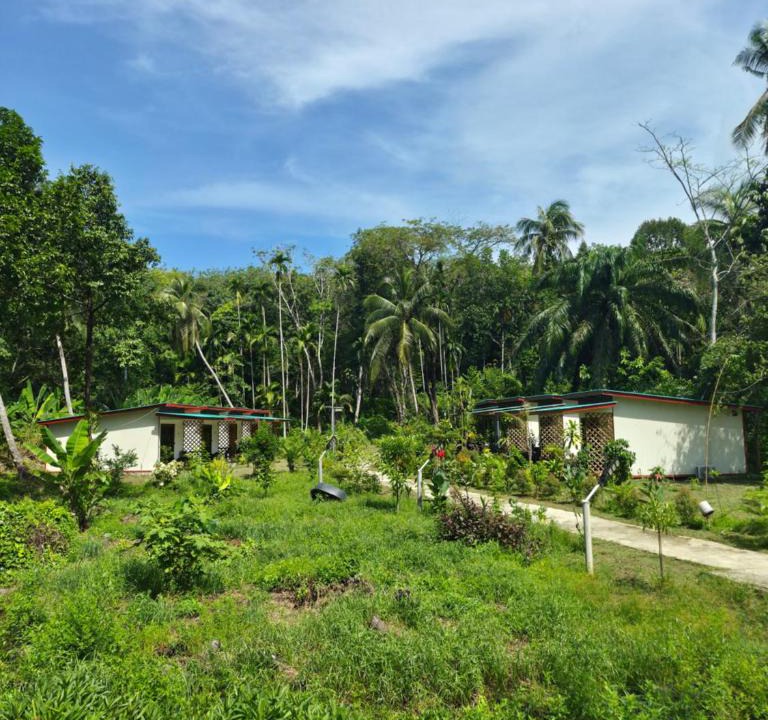 Ko Mook Cabin | Kohmook Timberland Resort from Seaview