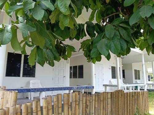 Koh Tao Resort | Laemklong Sea view
