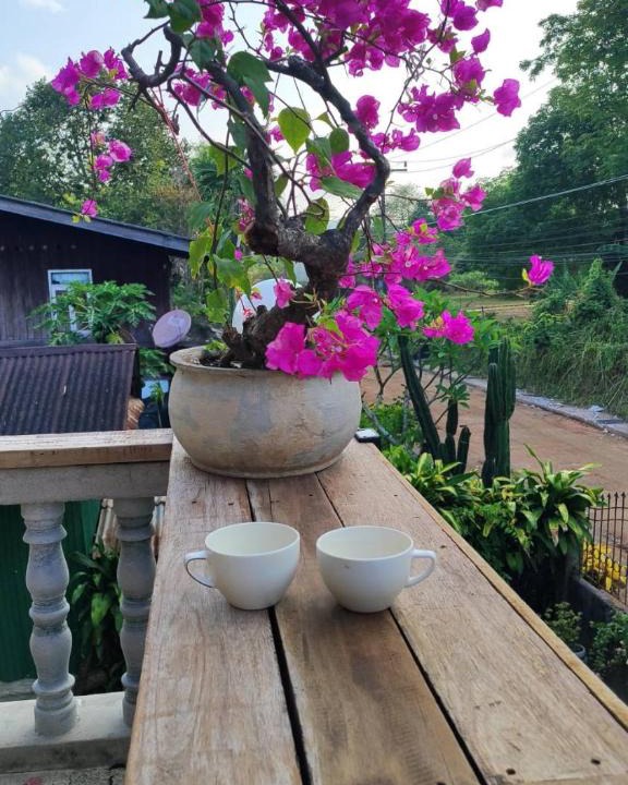Ko Yao House | Laena Home