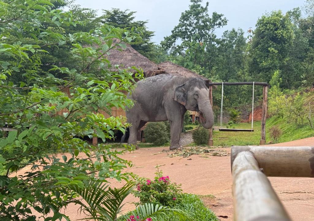 Mae Wang Bed & Breakfast | Lazy mango homestay