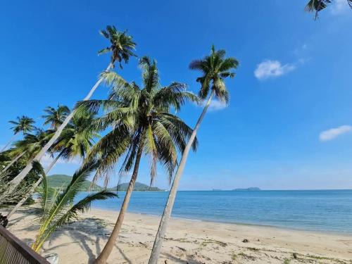 Chumphon Resort | Luxtalay Space Capsule