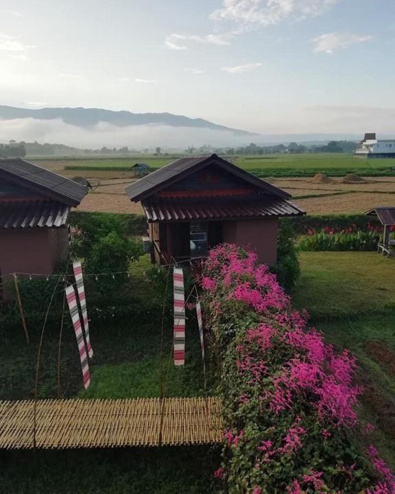 Pua House | Pang Chompu