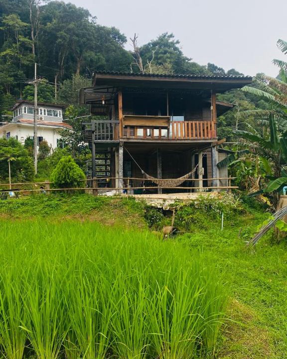 Ban Luang House | pedo Homestay2