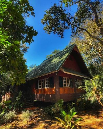 Ban Luang House | Private Forest Cottage in Near Chiang Mai