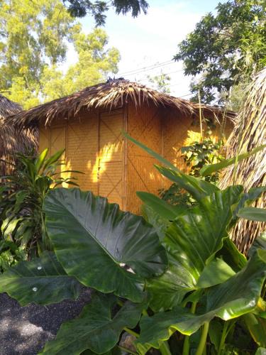 Bophut House | Samui Circus Studio Ville Deluxe Hut Bungalow 1