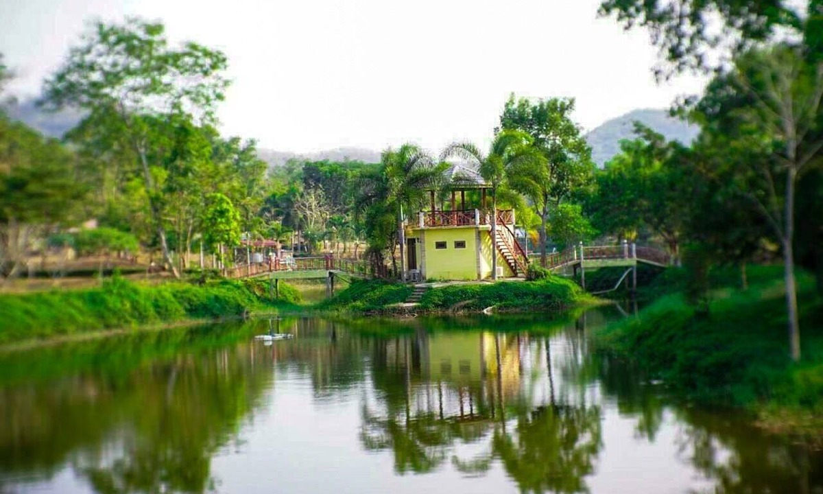 Suan Phueng Hotel | Suan Phueng Pa Wai Resort