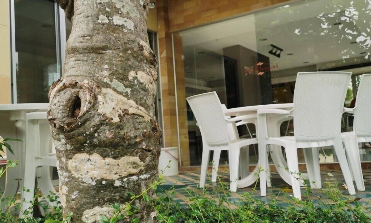 Bang Khla Hotel | Suklutai Hotel & Serviced Apartment