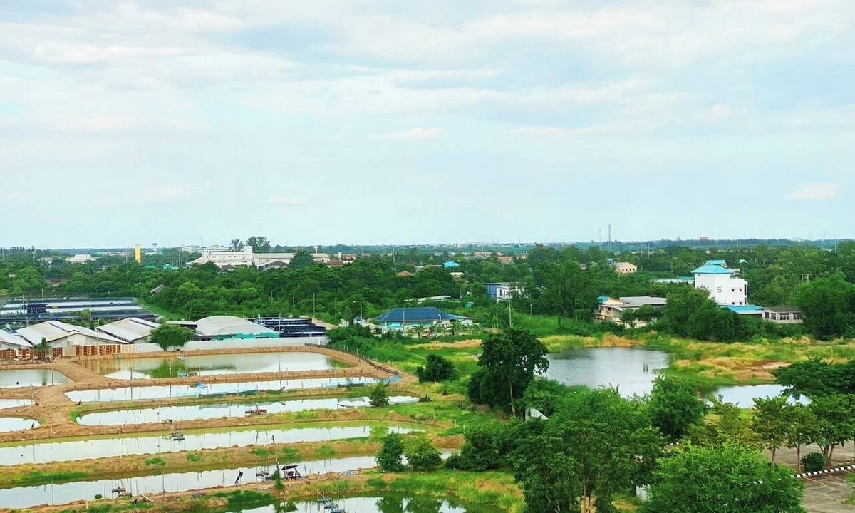 Chachoengsao Hotel | Suntara Wellness Resort & Hotel