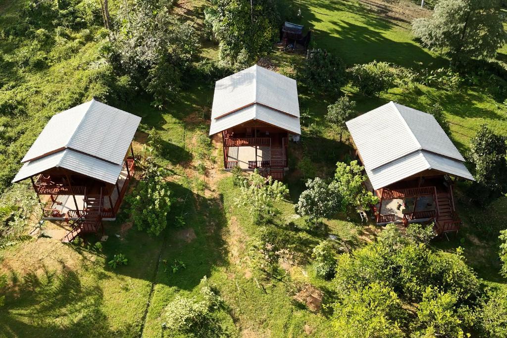 Khlong Sok House | Tara Farm Stay Khao Sok