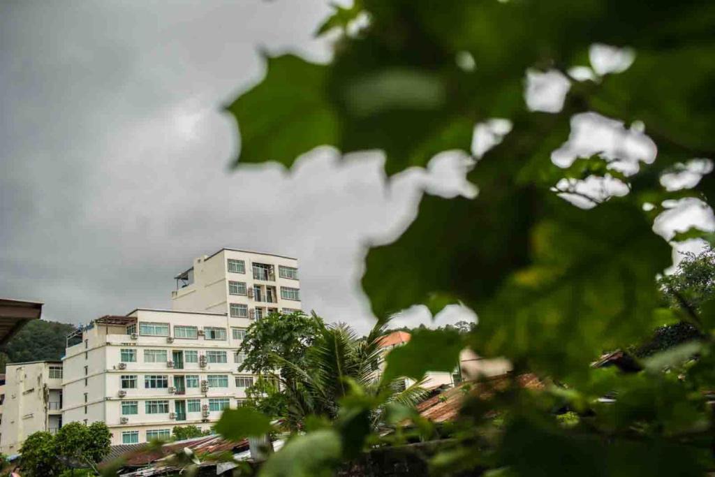 Nanai Road Apartment | The C Park