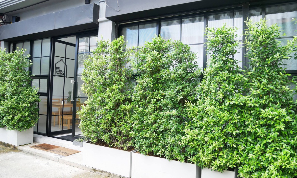 Khlong San Hostel | The Companion - Hostel