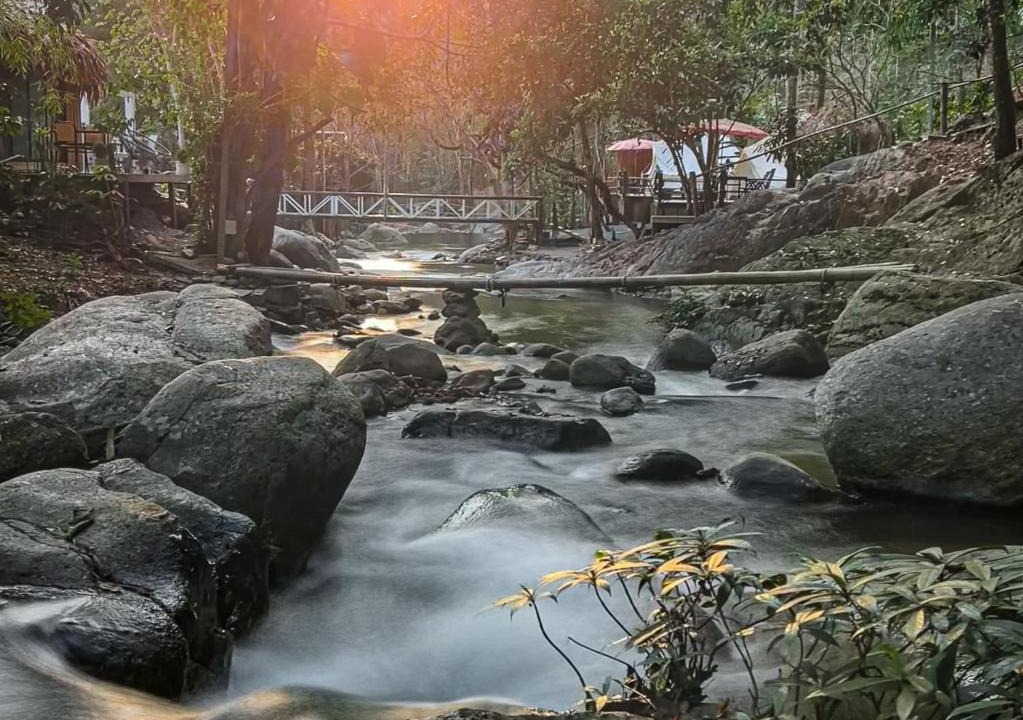Mae On Resort | The River Maekampong Chiang Mai เดอะริเวอร์ แม่กำปอง