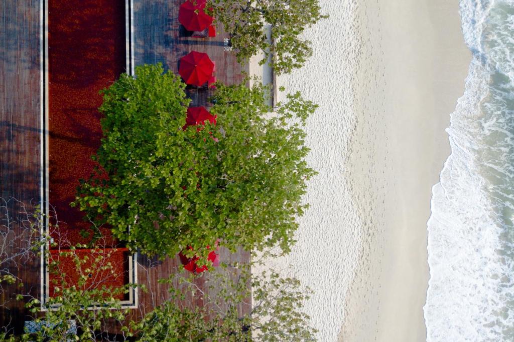 Chaweng City Center Resort | The Secret Pool Villas By The Library Koh Samui