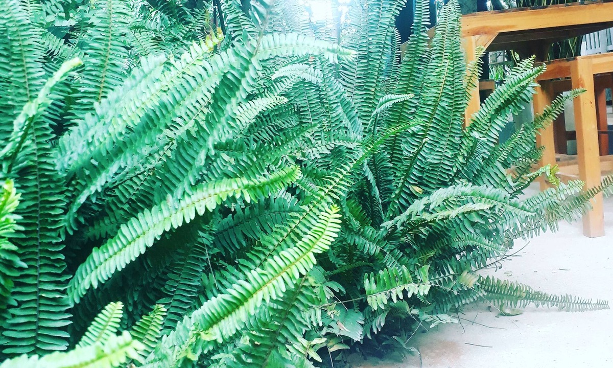 Nan House | Ui Bai Valley