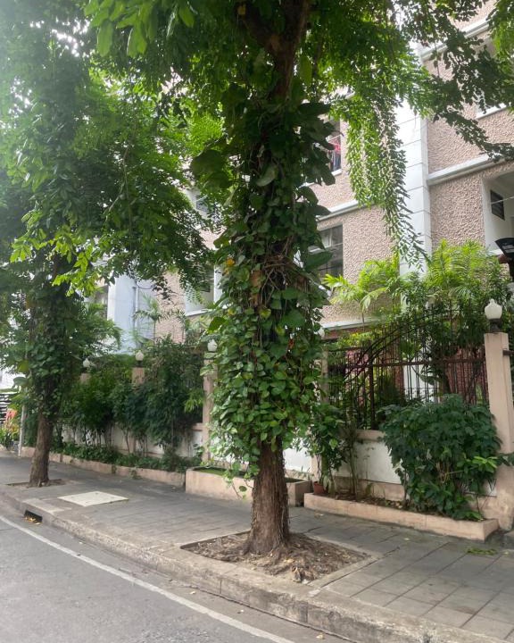Din Daeng Apartment | Viriyapon