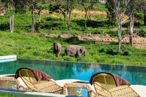 Bophut Hills Hotel | Wild Cottages Elephant Sanctuary Resort