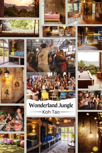 Koh Tao Hostel | Wonderland Jungle Hostel