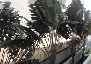 1 Bedroom View Swimming Pool 316 Jhr