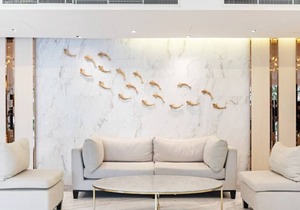 Luxurious exclusive Suite 2 BR near BTS Thonglor 家庭奢华房近通罗站 U5