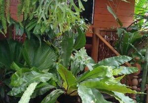 ouychai resort home stay
