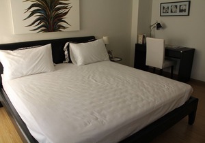 Super Deluxe One Bedroom Apartment