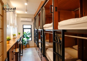 Tropical Summer Hostel