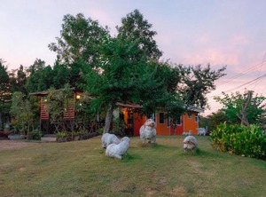 The Creek Villa | Phu Kradueng